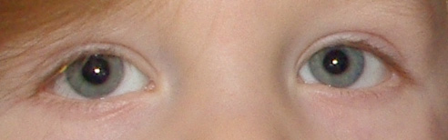 Lion-Augen-2.jpg